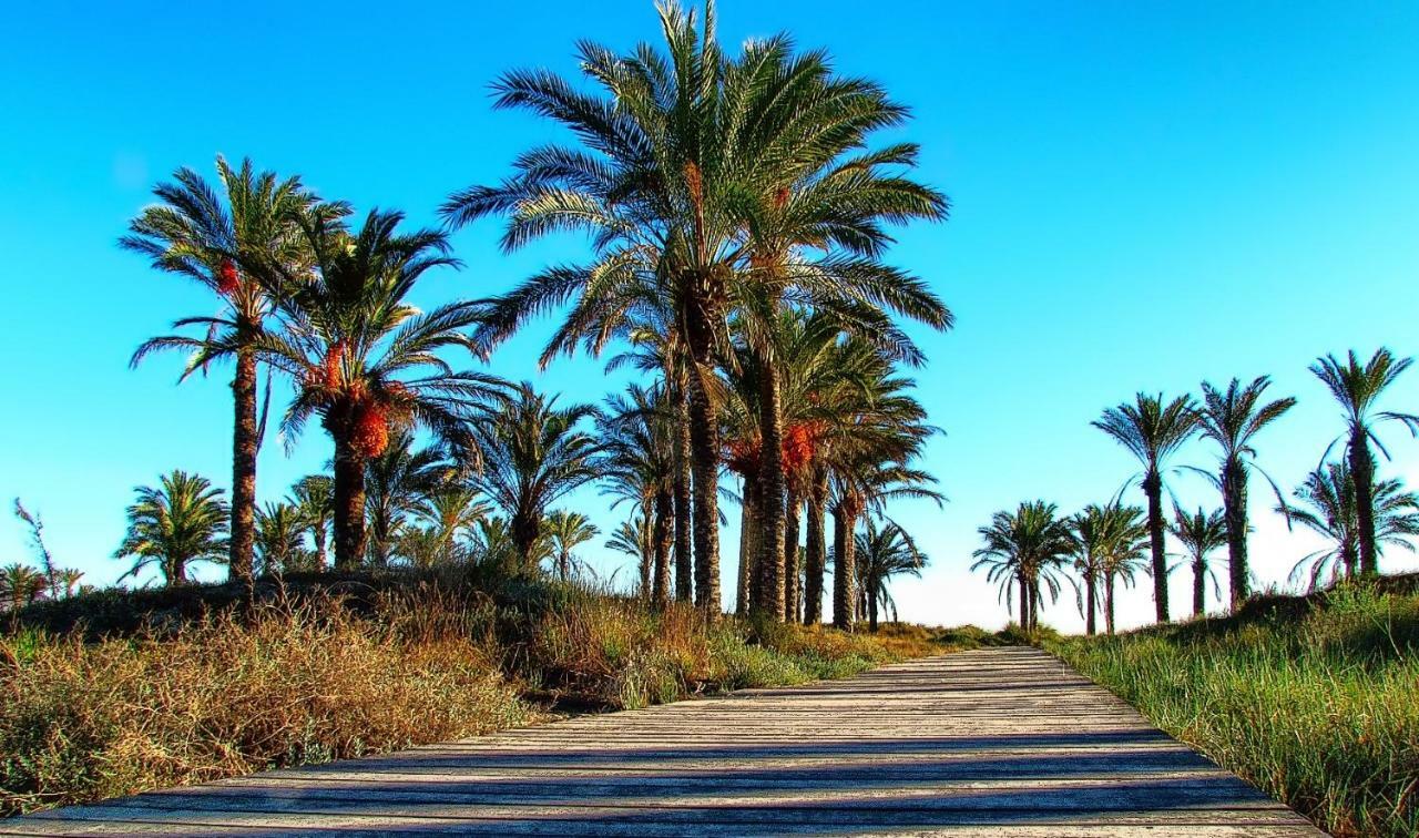 Piso Centro De Castellon Apartment Castellon de la Plana Ngoại thất bức ảnh